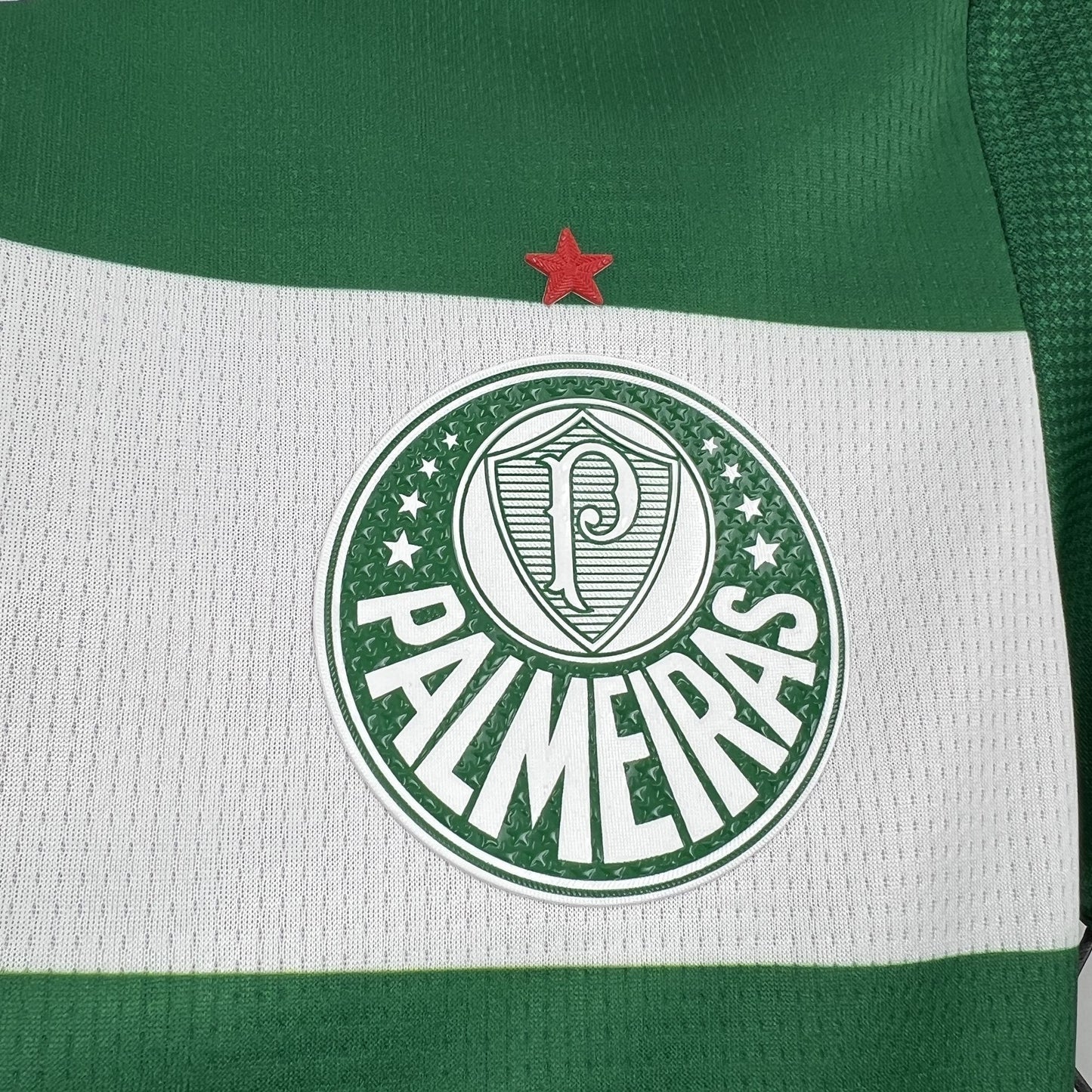 Camisa Palmeiras Edição Especial 25/26 | Feminina