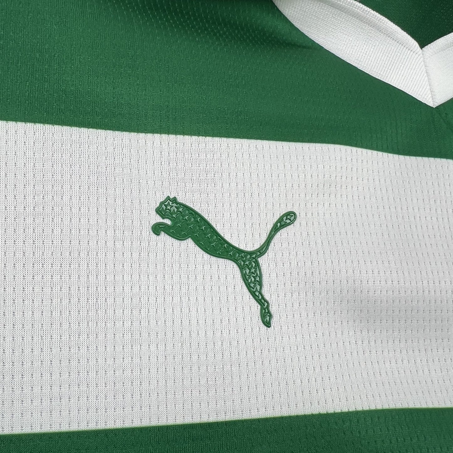 Camisa Palmeiras Edição Especial 25/26 | Feminina